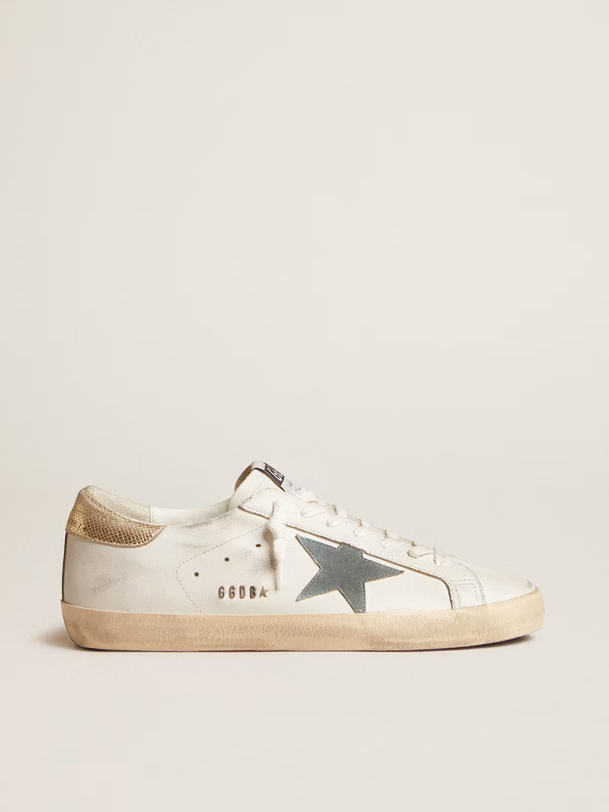 GDGS
